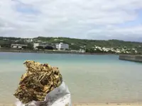 中本鮮魚店てんぷらの写真・動画_image_118403