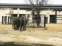 京都市動物園の写真・動画_image_118448