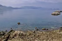 魚見岳公園の写真・動画_image_118461