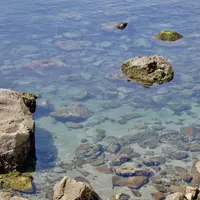 魚見岳公園の写真・動画_image_118462