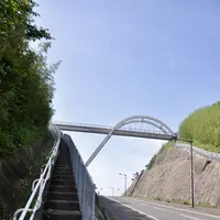 魚見岳公園の写真・動画_image_118464