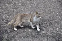 香焼町の写真・動画_image_118468