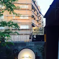 Cafe Soul Tree	 (カフェ・ソウルツリー)の写真・動画_image_118483