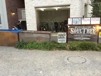 Cafe Soul Tree	 (カフェ・ソウルツリー)の写真・動画_image_118485