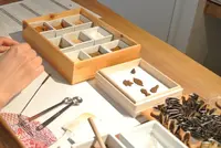 Juttoku. （ジュットク）の写真・動画_image_118568