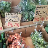 旬八青果店 目黒警察署前店の写真・動画_image_118599