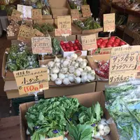 旬八青果店 目黒警察署前店の写真・動画_image_118601