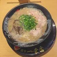 博多一幸舎 博多本店の写真・動画_image_118639