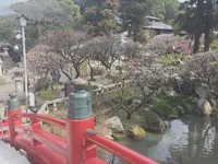 太宰府天満宮の写真・動画_image_118650