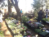 羽根木公園の写真・動画_image_118717