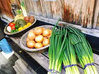 葱や平吉 高瀬川店の写真・動画_image_118763