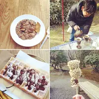 熊本藩主細川家墓所・泰勝寺跡の写真・動画_image_118961