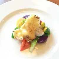 ミマキの写真・動画_image_119081