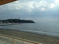新江ノ島水族館の写真・動画_image_119094