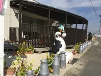 バロックの写真・動画_image_119210