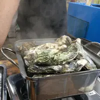 カキ小屋の写真・動画_image_119301