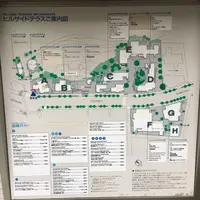 ヒルサイドテラスの写真・動画_image_119699