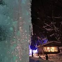 氷点下の森の写真・動画_image_119731