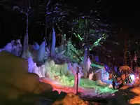 氷点下の森の写真・動画_image_119732