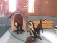 バランタインの写真・動画_image_120004
