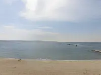 ヒポポパパの写真・動画_image_120018