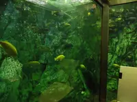 ヒポポパパの写真・動画_image_120022