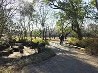 大井ふ頭海浜公園の写真・動画_image_120132