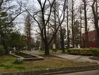 都立東綾瀬公園の写真・動画_image_120134