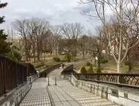 都立東綾瀬公園の写真・動画_image_120136