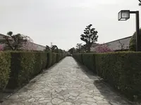 御城番屋敷の写真・動画_image_120158