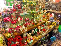 サンクチュアリーの写真・動画_image_120215