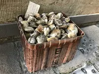 日の出の写真・動画_image_120224