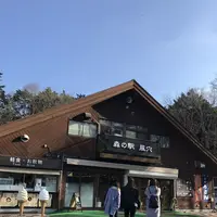 富岳風穴の写真・動画_image_120296