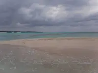 百合ヶ浜の写真・動画_image_120316