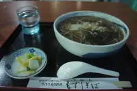 蒼い珊瑚礁の写真・動画_image_120317
