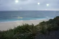 蒼い珊瑚礁の写真・動画_image_120318