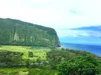 Waipio Valleyの写真・動画_image_120323