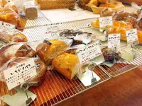 サンクチュアリの写真・動画_image_120510