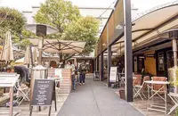 crisscross （クリスクロス）の写真・動画_image_120585