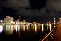 信濃川やすらぎ堤緑地の写真・動画_image_120678