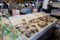 ピアBandai万代島鮮魚センターの写真・動画_image_120682