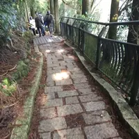 箱根神社の写真・動画_image_120754