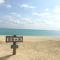 百合ヶ浜の写真・動画_image_120818