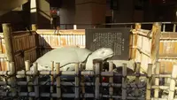 中川像の写真・動画_image_120824