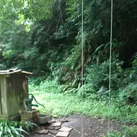 たからの窯の写真・動画_image_120920