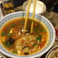 シルクロードタリムの写真・動画_image_120922