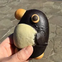 世田谷公園の写真・動画_image_121386