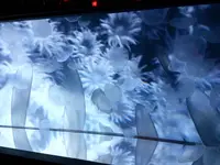 すみだ水族館の写真・動画_image_121766