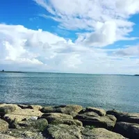 葛西臨海公園の写真・動画_image_121785