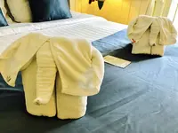 Buddy Lodge Hotelの写真・動画_image_121800